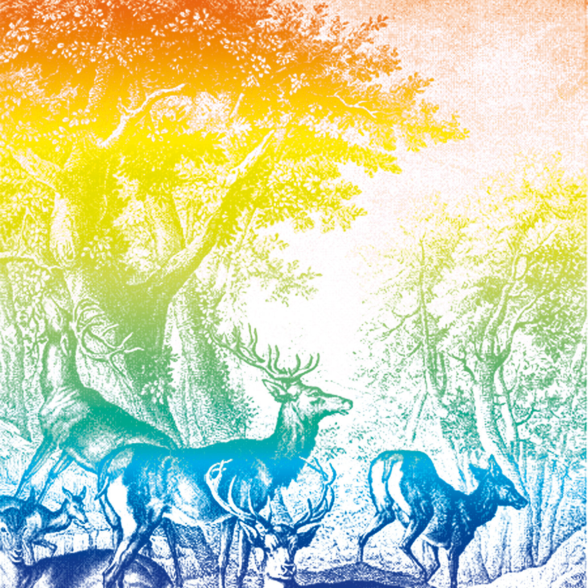 placeholder image sq