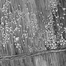 placeholder image sq