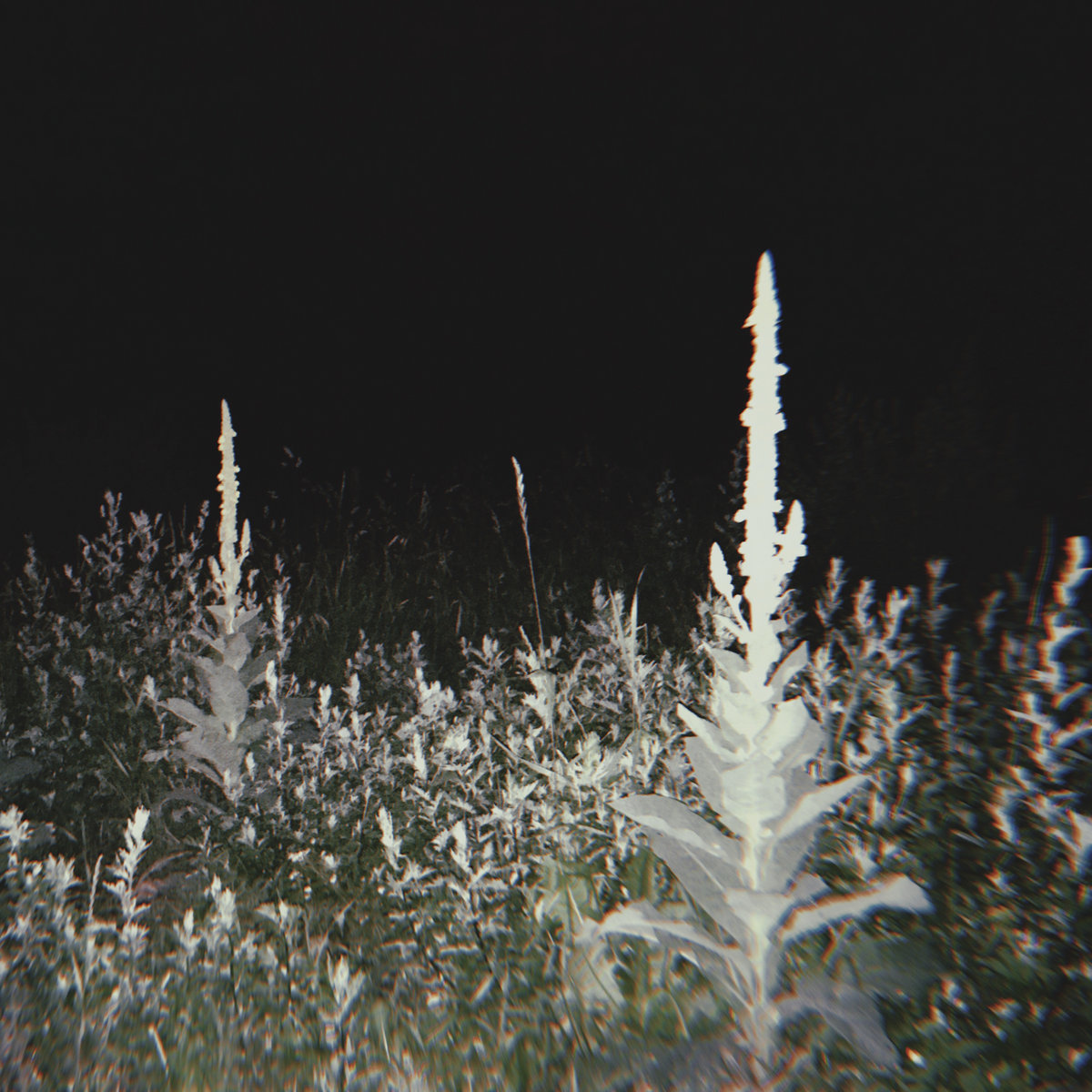 placeholder image sq